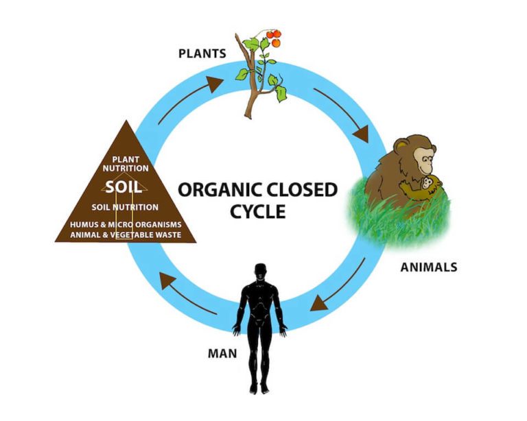 paul chek wellness force