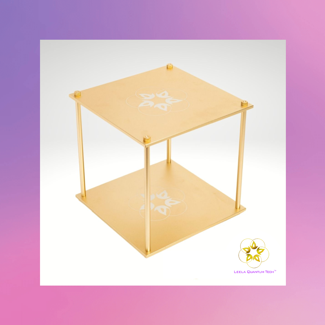 Philipp Samor von Holtzendorff-Fehling | The Truth About Quantum Energy To Recalibrate Yourself & Home with LEELA Quantum