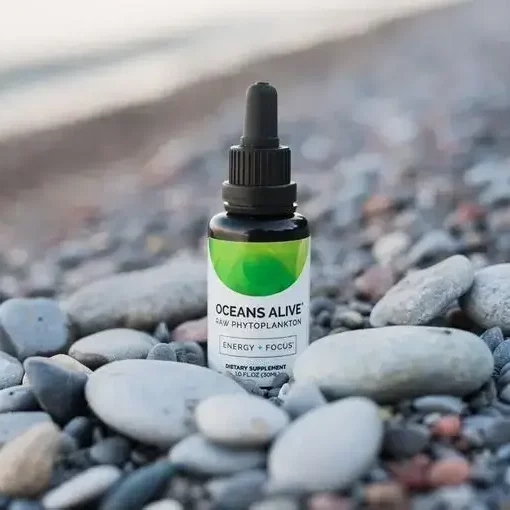 Activation Products: Help Your Brain + Body Thrive