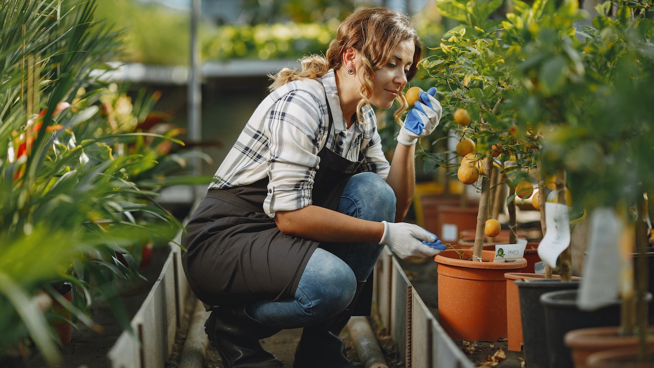 5 Reasons Plants Are Good for Your Health