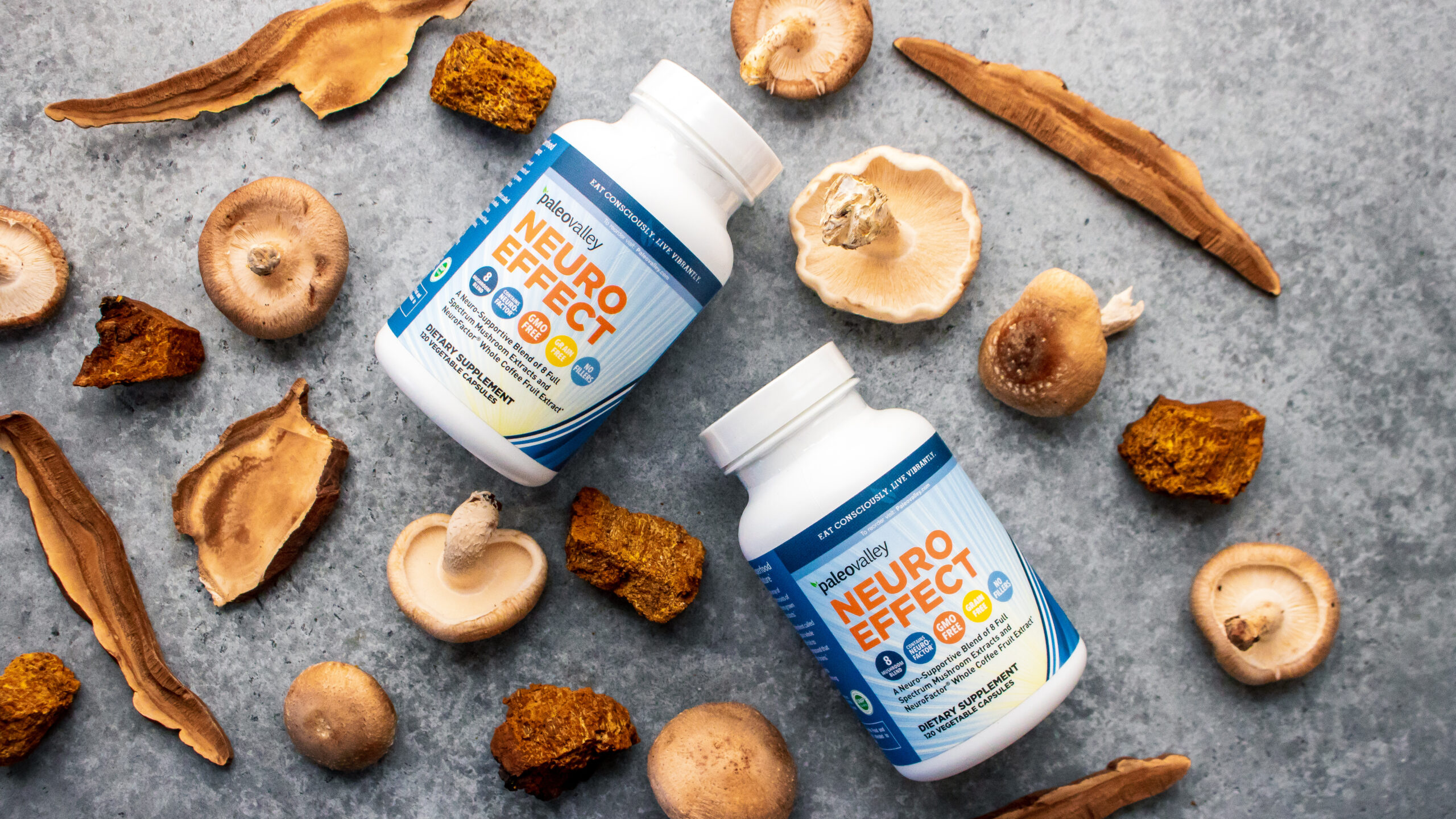 6 Benefits of Medicinal Mushrooms