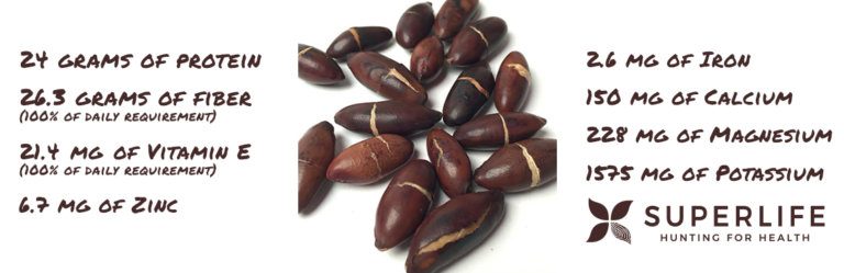 Hunting For Optimal Health_ Darin Olien WELLNESS FORCE RADIO PODCAST EPISODE 234 Superlife Hunting For Health