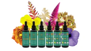 Living in a Concrete Jungle: 3 Ways to Reconnect with Nature