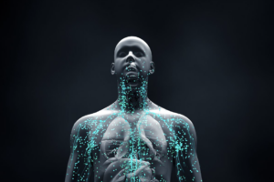 How Does the Immune System Work With the Circulatory System?