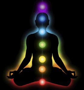 Anahata Ananda | You Were Born To Shine: Access Your Chakra Systems To Live A Thriving Life