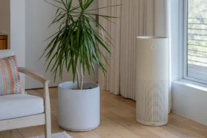 6 Products to Protect Your Family's Health 