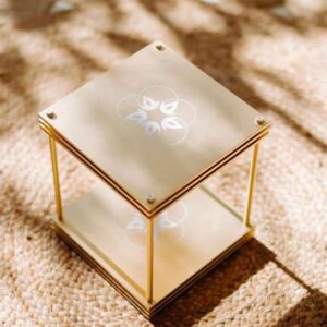 leela quantum Quantum Upgrade: Unlock Your Full Potential with Quantum Energy