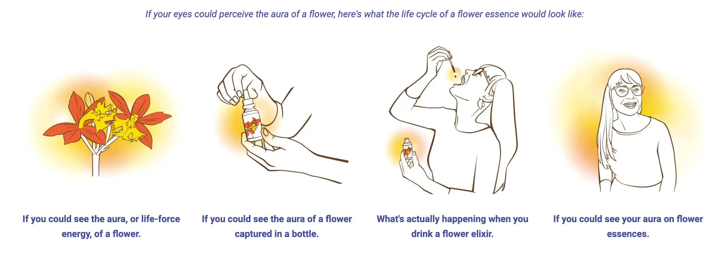 LOTUSWEI Flower Essences