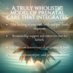 Luminous Birth: Conscious Birthing - Transform Into Birth course