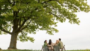Bridging Generations: How Living Tree Memorials Connect Past, Present, and Future