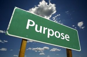 purpose1