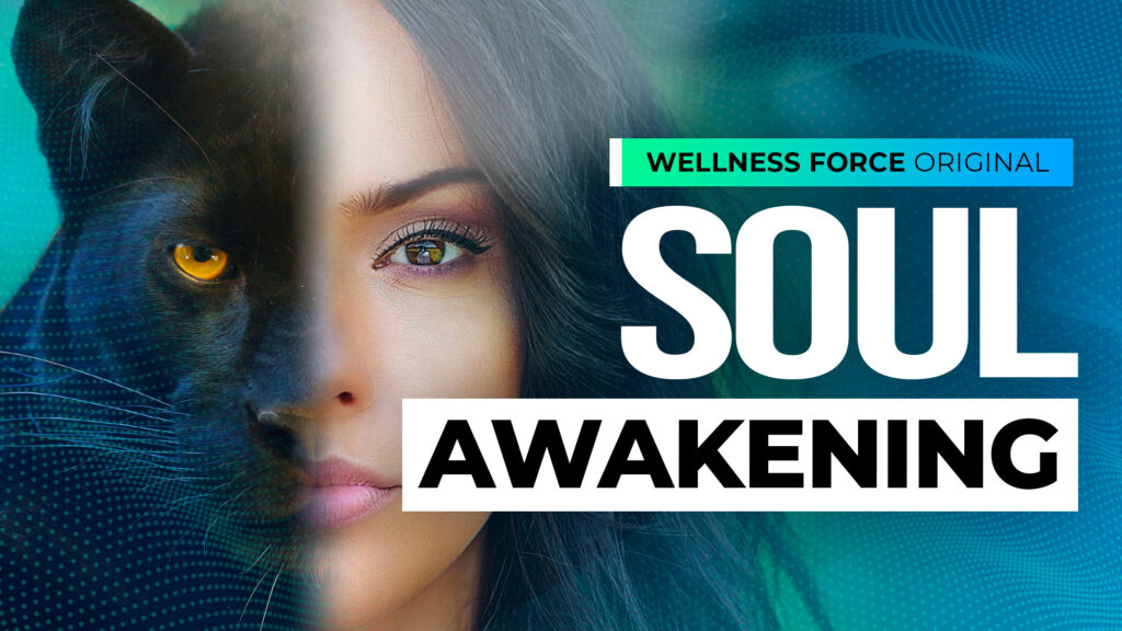 Soul Awakening: Release Your ANIMAL POWER
