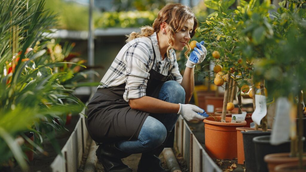 5 Reasons Plants Are Good for Your Health