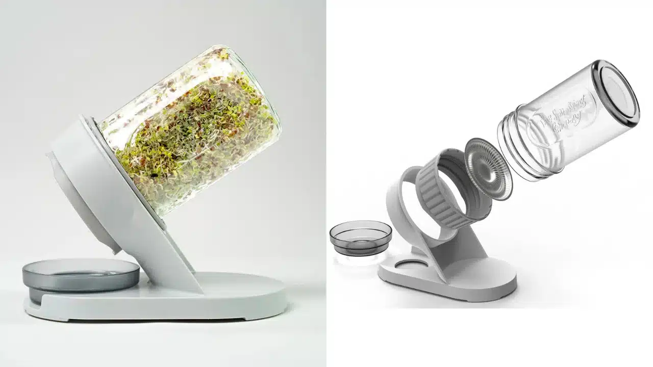 The Sprouting Company | Fresh Greens at Home The Sprouting Company