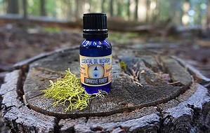 Beginner's Guide to Essential Oils + Aromatherapy Beginner