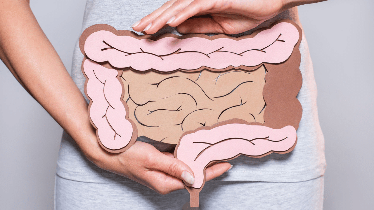 Gut Health: #1 Way to Thrive with SEED Gut Health 1 Way To Thrive With SEED 1