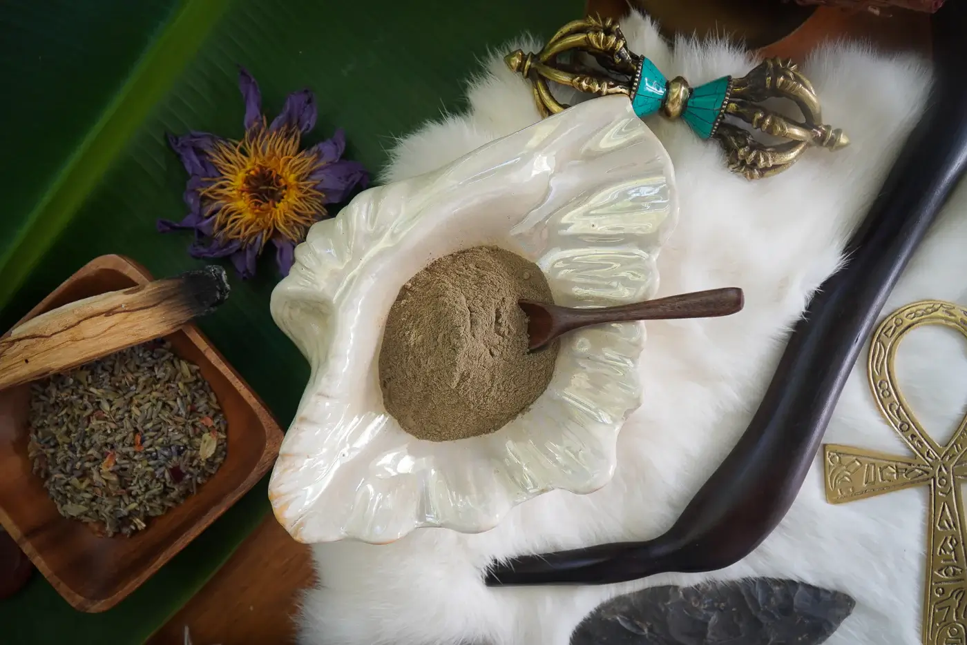 Hape-and-Ceremonial-Cacao-A-Spiritual-Journey-with-Four-Visions