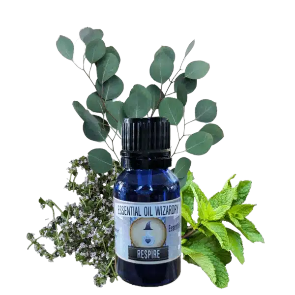 Beginner's Guide to Essential Oils + Aromatherapy Beginner