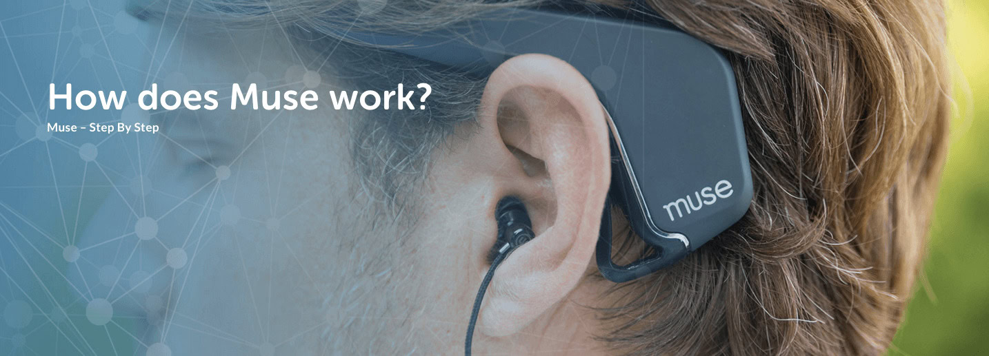 Ariel Garten Wellness + Wisdom A Better Brain