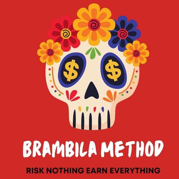 Adrian Brambila | Financial Freedom: How To Make Money Online While You Sleep the brambila method adrian brambila