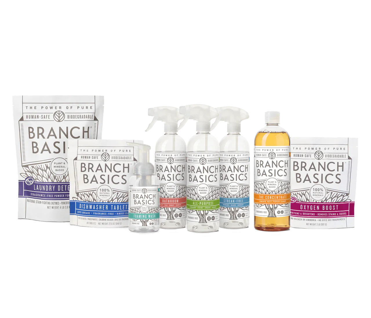 Branch Basics Branch Basics