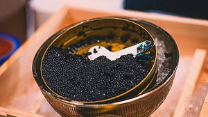 How Caviar Compares to Traditional Protein Sources for Building Muscle