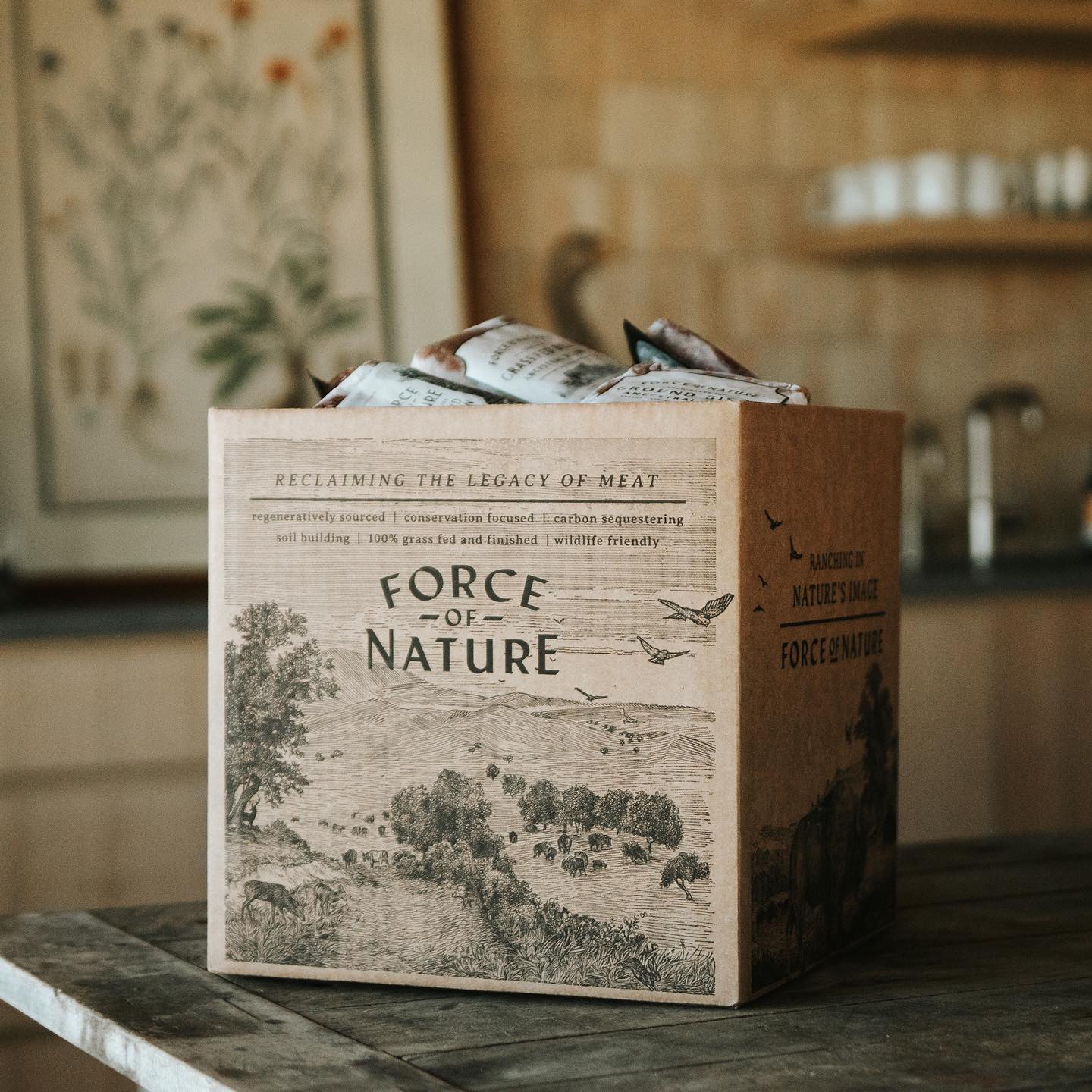 d5a663a4-293656679_1210413076468681_6290334596901267668_n