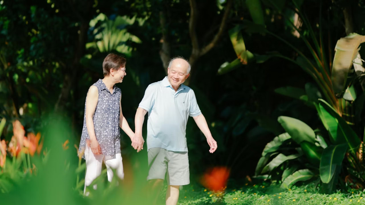 Finding the Right Hormone Therapy for Longevity: A Guide to Best Value Holistic Health Clinics Finding the Right Hormone Therapy for Longevity: A Guide to Best Value Holistic Health Clinics