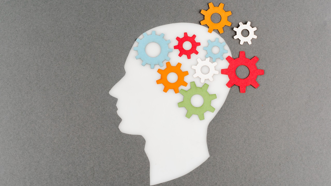 top view of cut out white human head with colorful gears isolated on grey