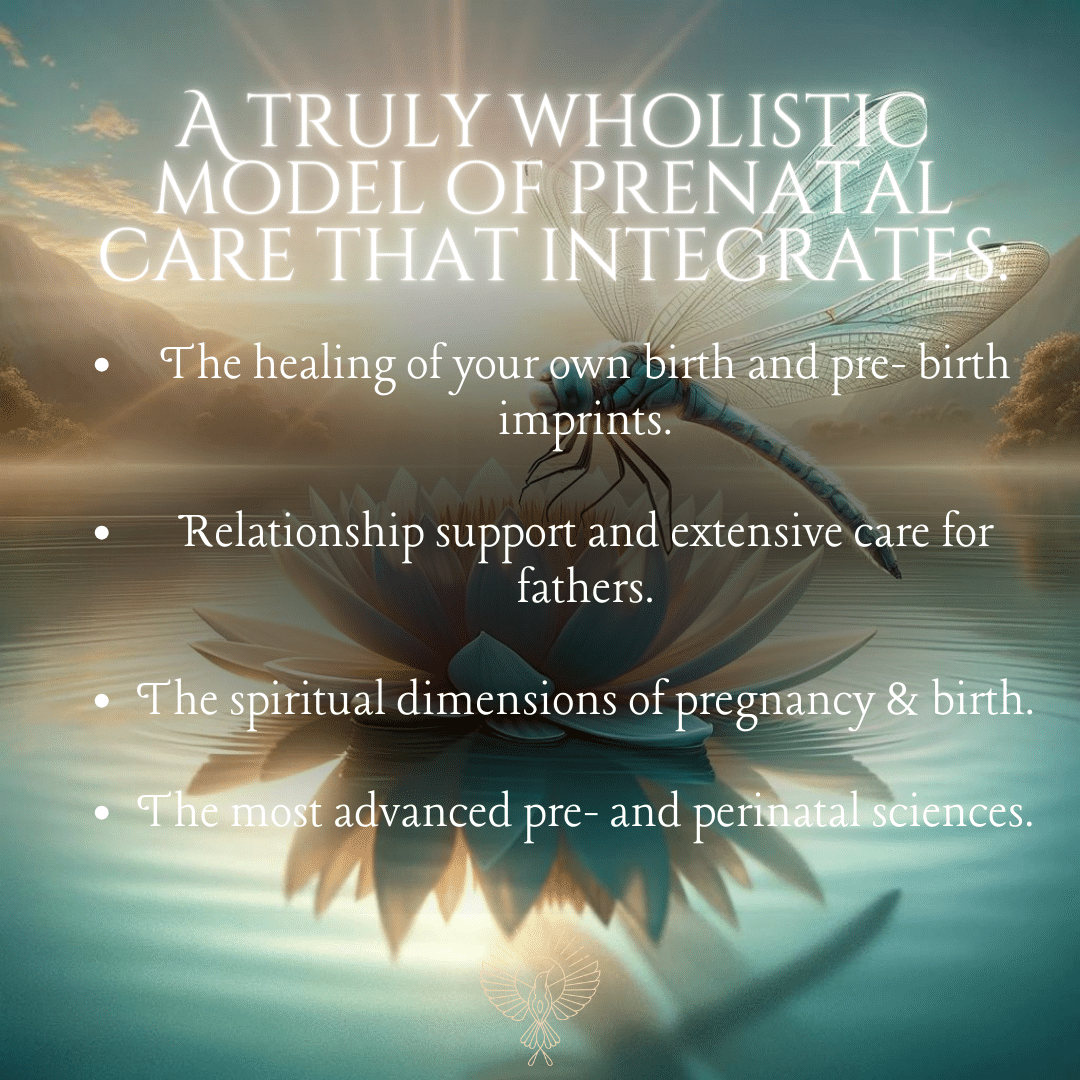 Transform Into Birth Luminous Birth: Conscious Birthing - Transform Into Birth course