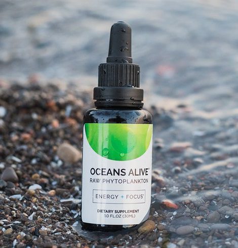 Ian Clark | 1,000 Days To Live: Using Nature's Wisdom to Turn on Your Wellness Epigenetics Oa 2 1080x