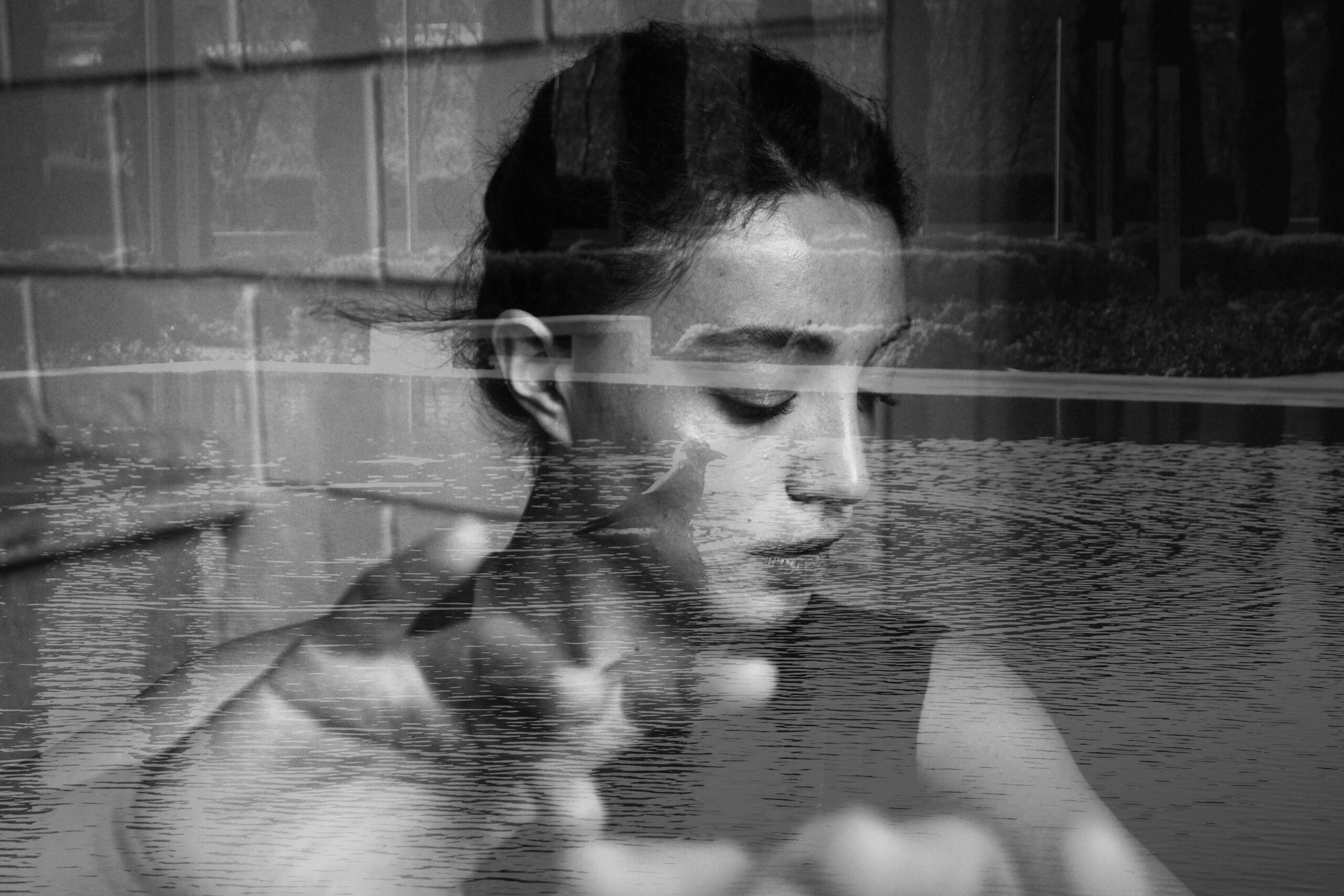 pexels-leylahasanle-34666228-scaled