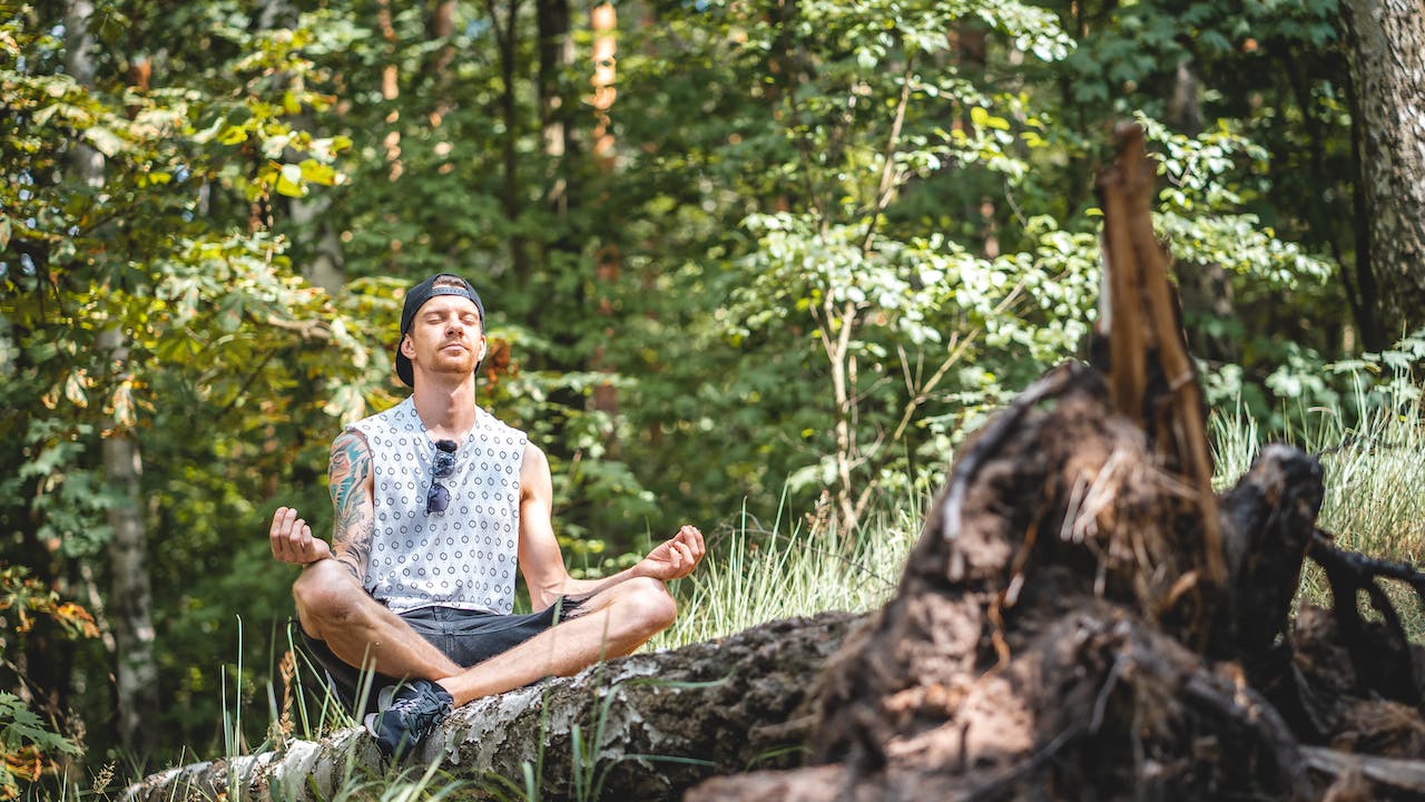 pexels-maik-kleinert-3576284