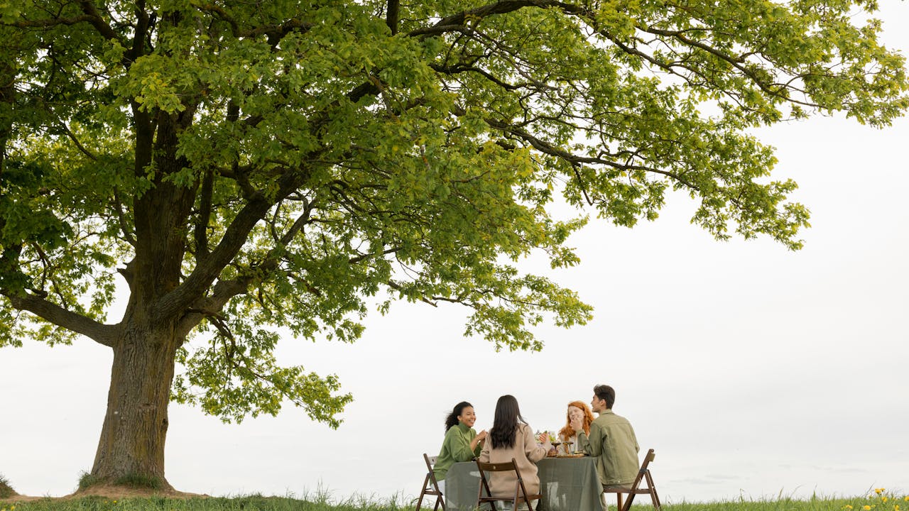 Bridging Generations: How Living Tree Memorials Connect Past, Present, and Future Bridging Generations: How Living Tree Memorials Connect Past, Present, and Future