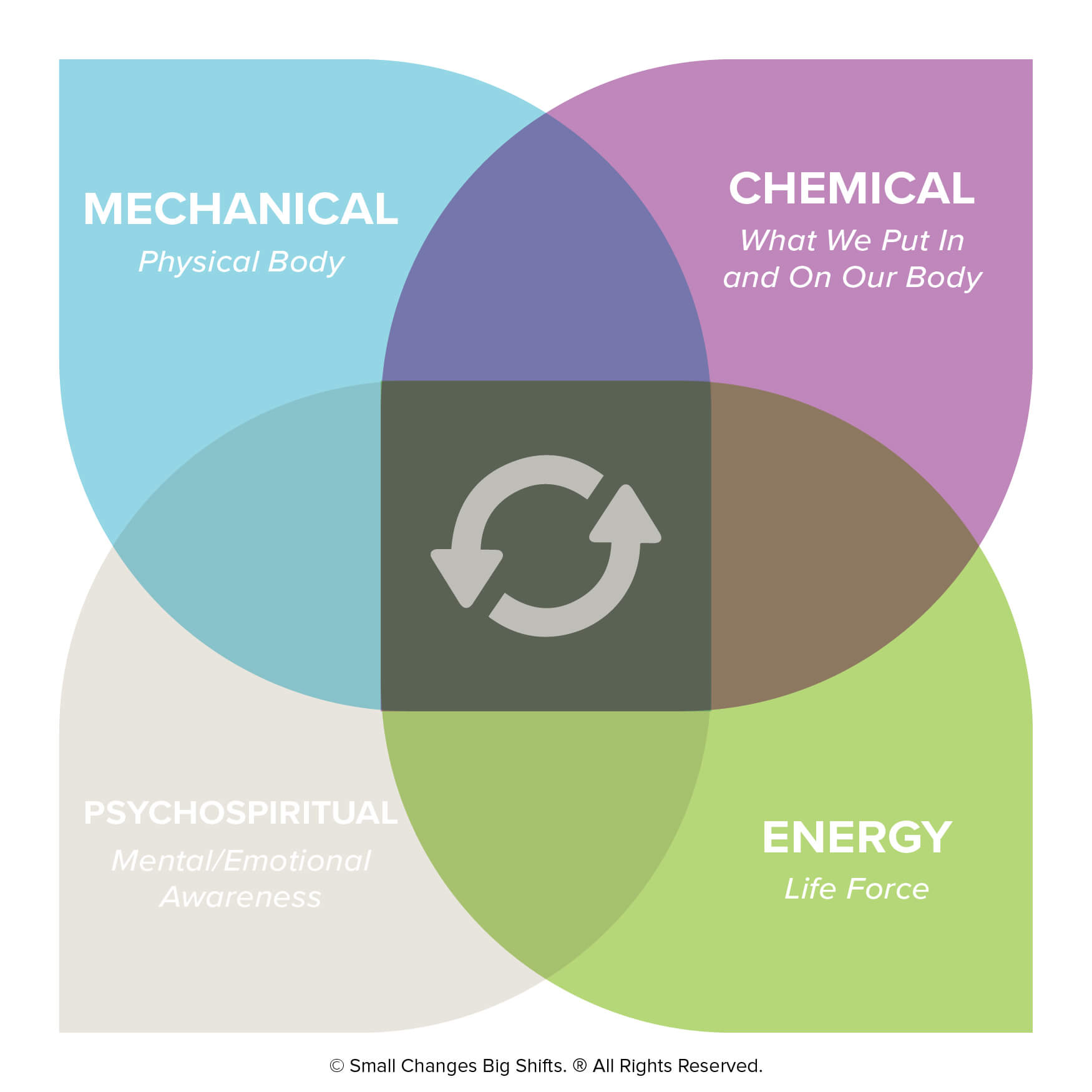318 Dr. Michelle Robin: The Secret Ingredient To Wellness (And It's Not What You Think) Dr. Michelle Robin wellness