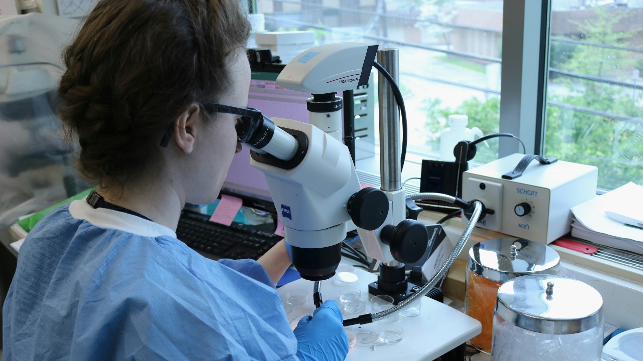 scientist-looking-at-the-microscope