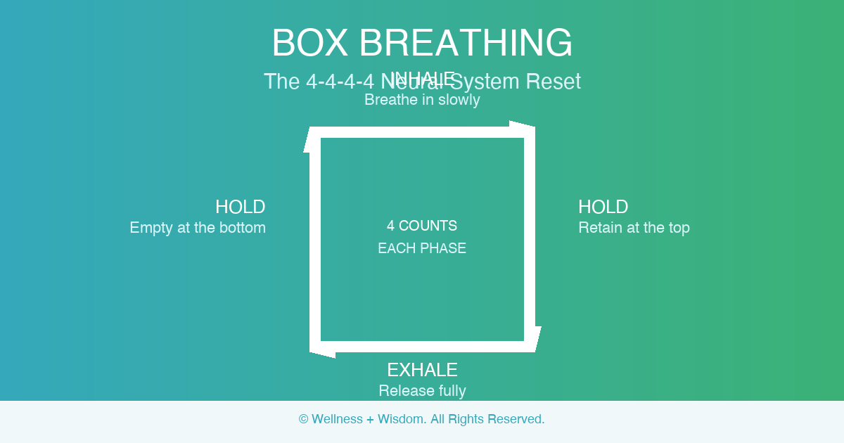 Box Breathing Technique by Josh Trent | Wellness + Wisdom Box breathing technique diagram showing the 4-4-4-4 method for neural system regulation and stress relief by Josh Trent Wellness and Wisdom