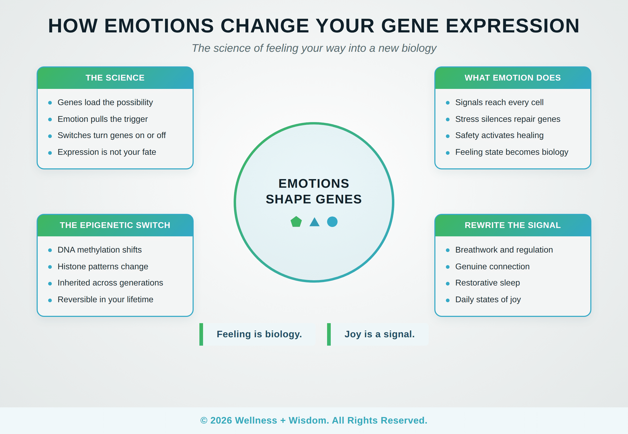 Emotions Gene Expression: How Your Feelings Shape Your Biology | Josh Trent | Wellness + Wisdom How emotions change gene expression infographic illustrating emotional epigenetics science and the biology of feelings by Josh Trent Wellness and Wisdom