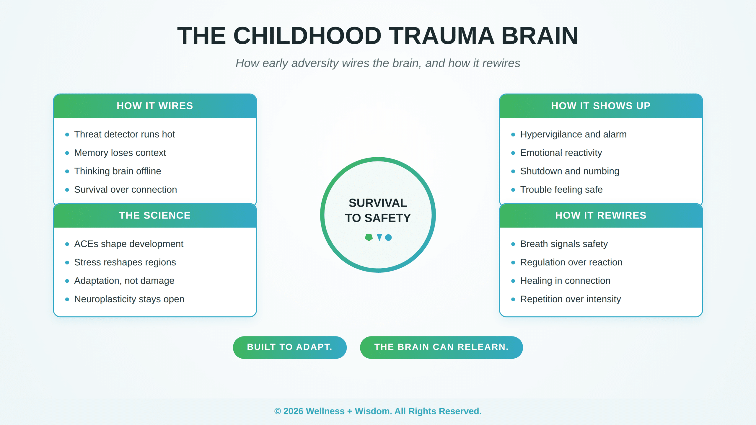 The Childhood Trauma Brain by Josh Trent | Wellness + Wisdom Childhood trauma brain infographic showing how early adversity wires the brain and how it rewires by Josh Trent Wellness and Wisdom