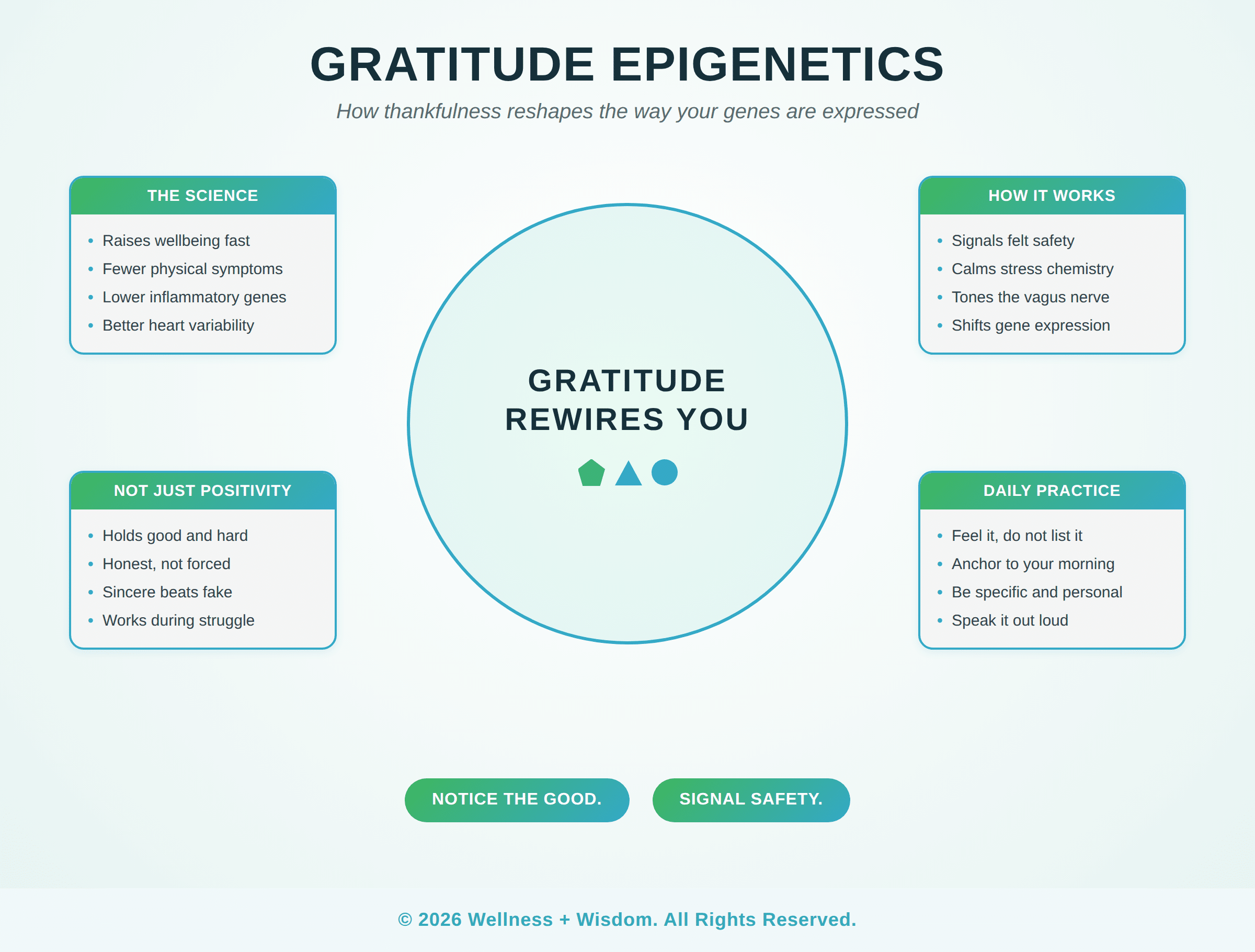 Gratitude Epigenetics by Josh Trent | Wellness + Wisdom Gratitude epigenetics infographic showing how thankfulness shapes gene expression across the science, the body, the signal, and daily practice, by Josh Trent Wellness and Wisdom