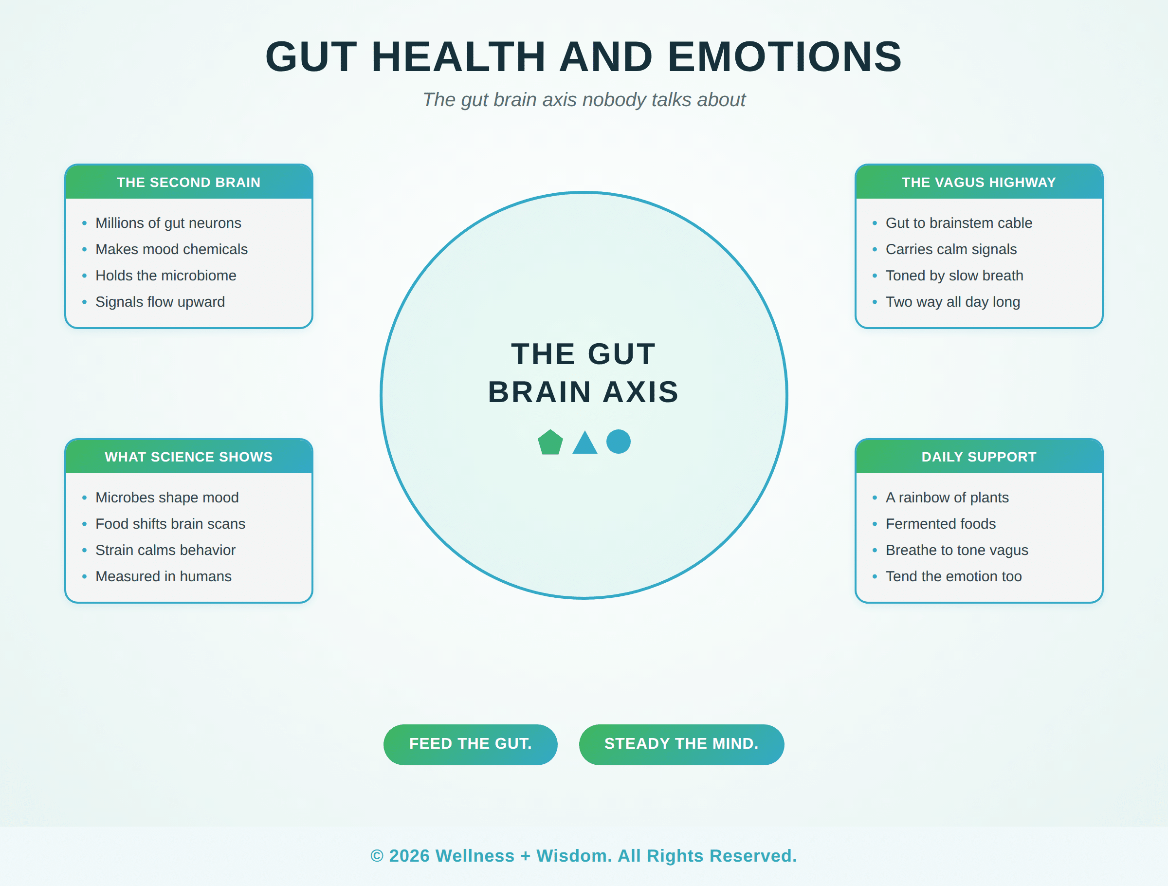 Gut Health Emotions by Josh Trent | Wellness + Wisdom Gut health emotions infographic showing the gut brain axis across the microbiome, the vagus highway, the science, and daily support, by Josh Trent Wellness and Wisdom