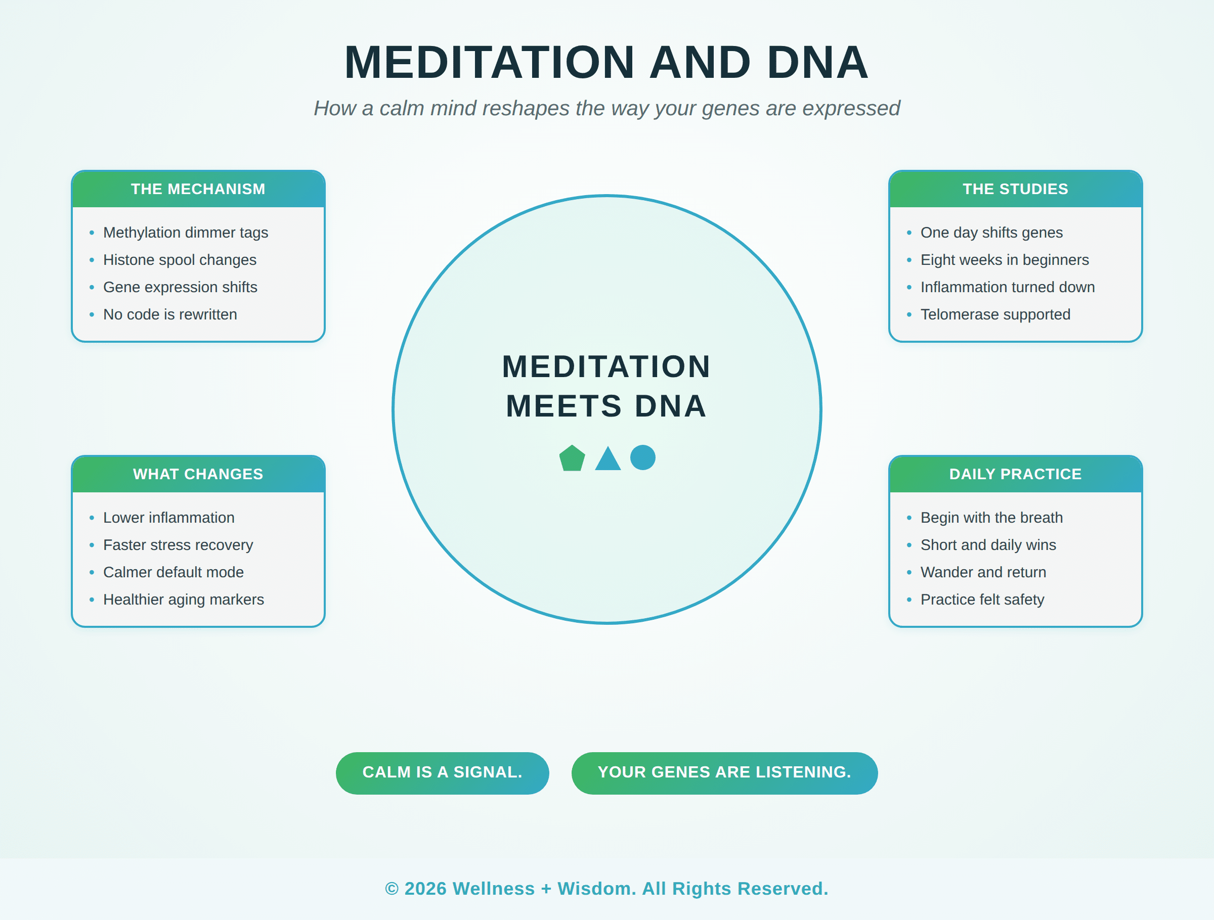 Meditation and DNA by Josh Trent | Wellness + Wisdom Meditation and DNA infographic showing how a calm mind influences gene expression across methylation, inflammation, aging, and practice, by Josh Trent Wellness and Wisdom