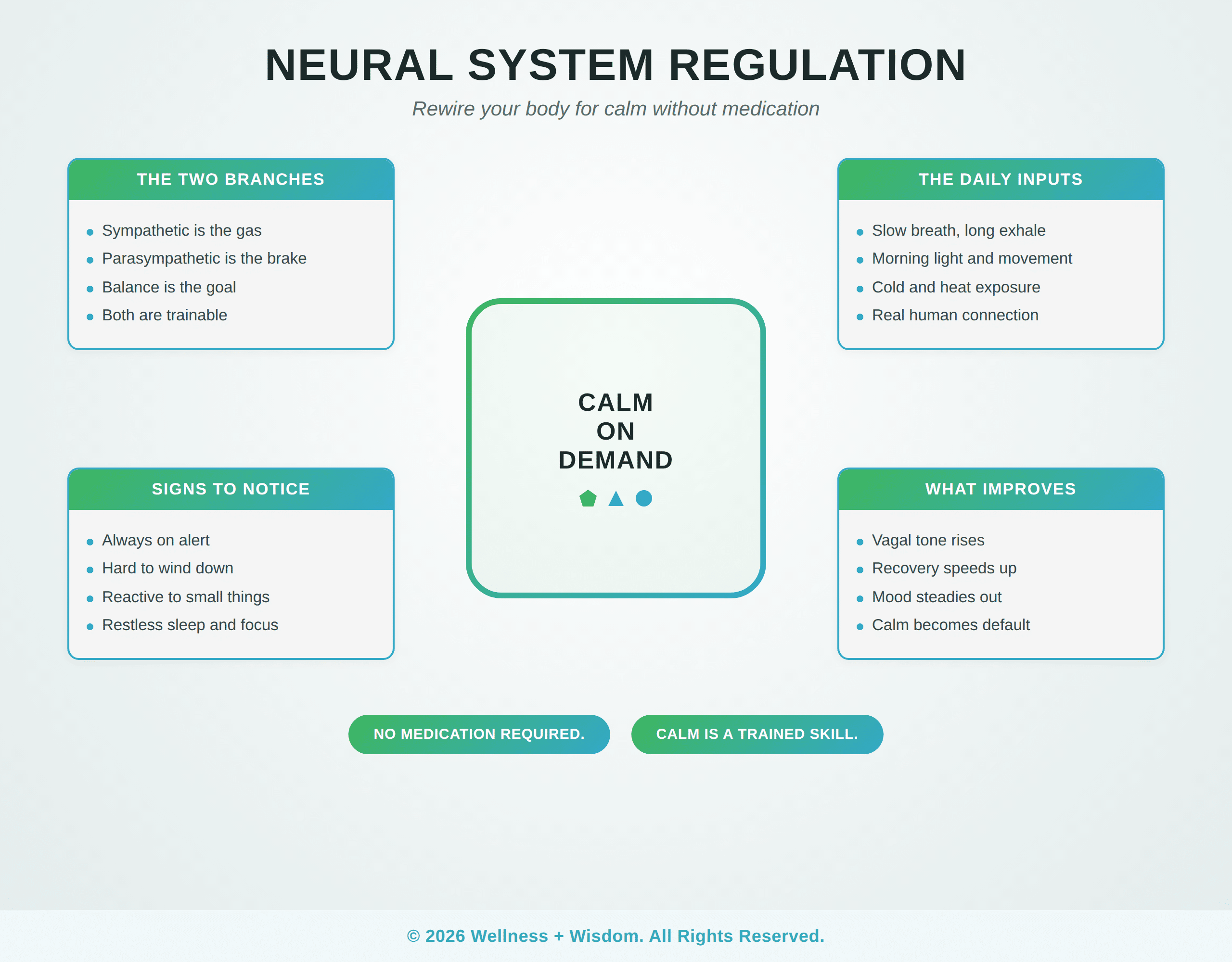 Neural System Regulation by Josh Trent | Wellness + Wisdom Neural system regulation four quadrant infographic showing the two branches, signs of dysregulation, daily inputs, and what improves, by Josh Trent Wellness and Wisdom