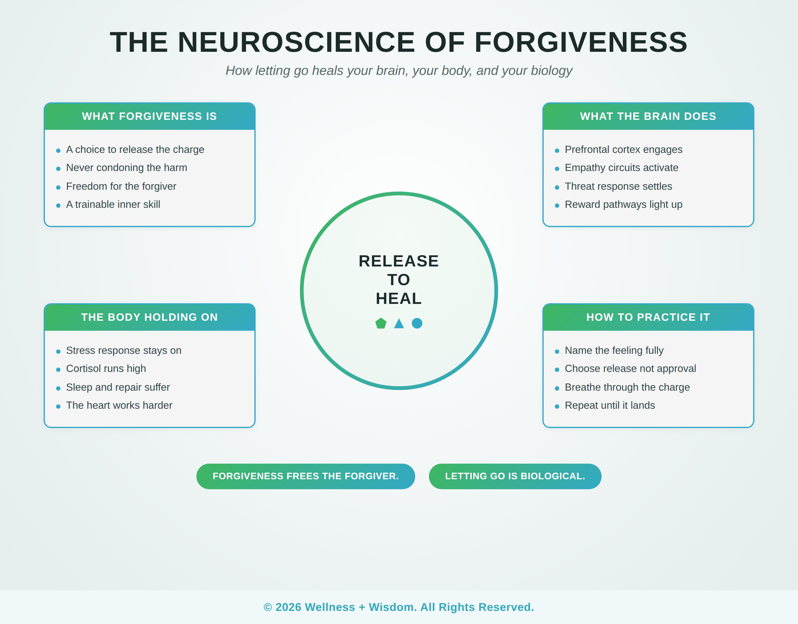 The Neuroscience of Forgiveness by Josh Trent | Wellness + Wisdom Neuroscience of forgiveness four quadrant infographic showing what forgiveness is, how the brain and body respond, and how to practice release, by Josh Trent Wellness and Wisdom