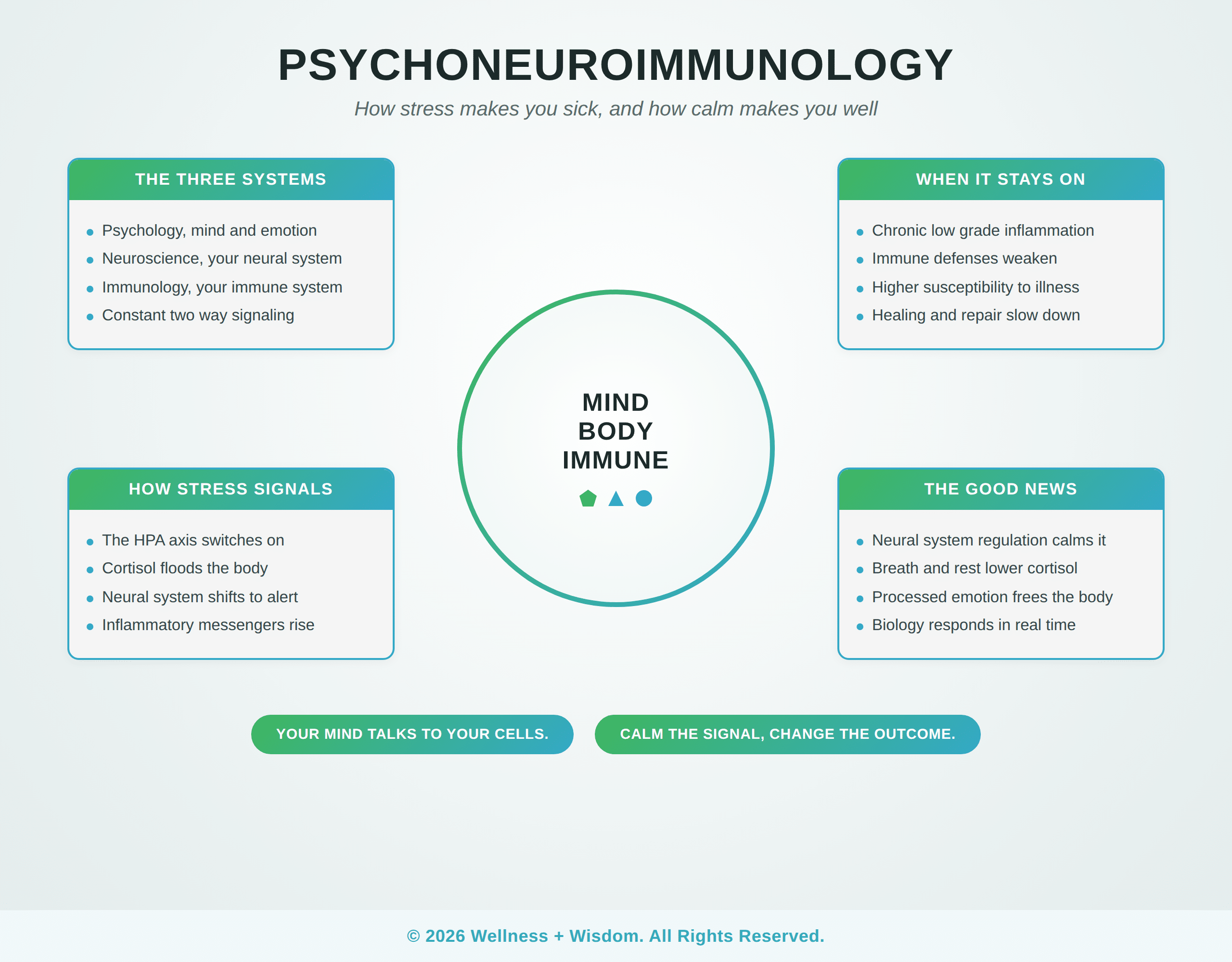 Psychoneuroimmunology: The Mind Body Immune Connection by Josh Trent | Wellness + Wisdom Psychoneuroimmunology diagram showing how stress affects the immune system through the mind body connection by Josh Trent Wellness and Wisdom
