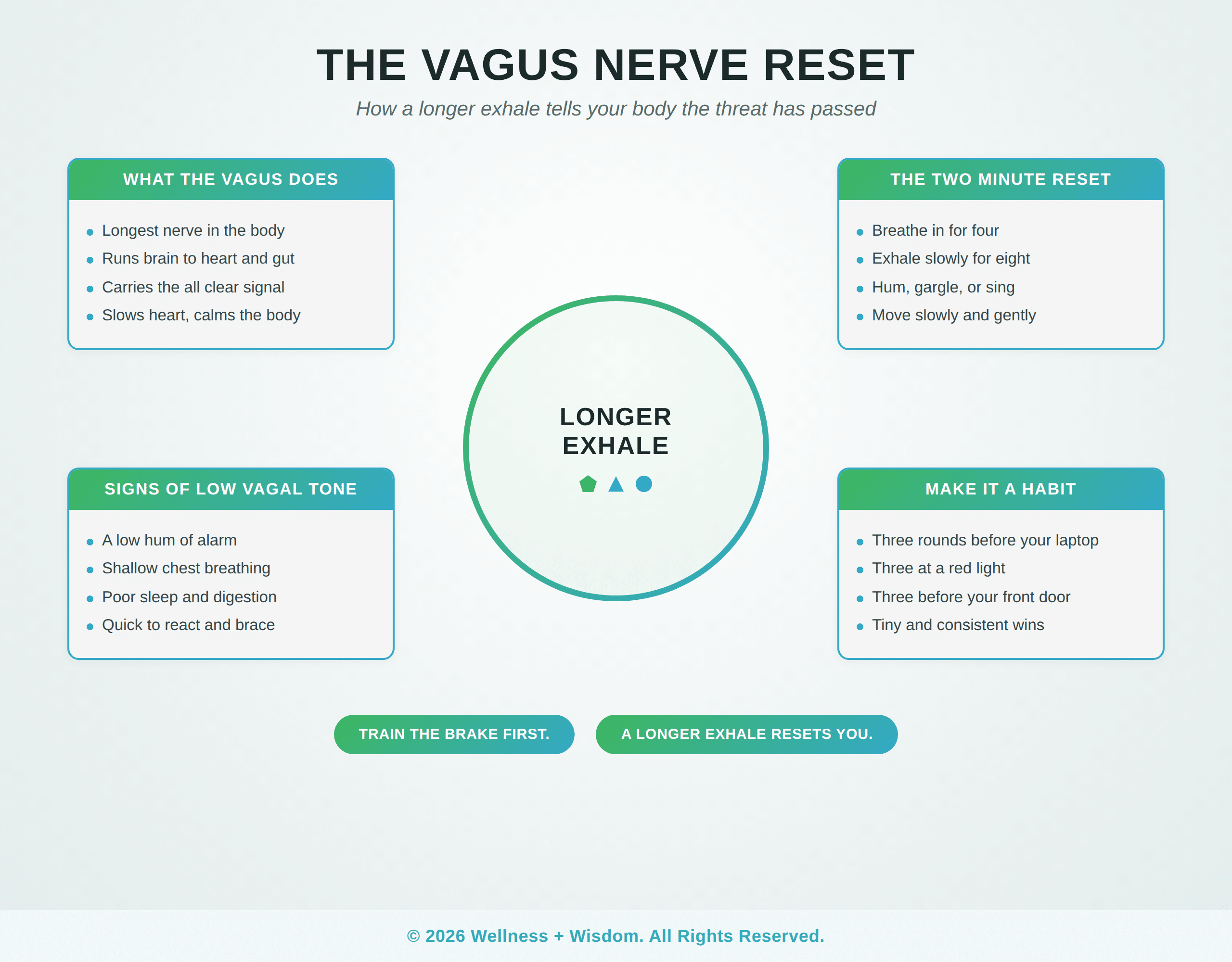 The Vagus Nerve Reset by Josh Trent | Wellness + Wisdom Vagus nerve reset infographic showing what the vagus does, signs of low vagal tone, the two minute reset, and how to build the habit, by Josh Trent Wellness and Wisdom