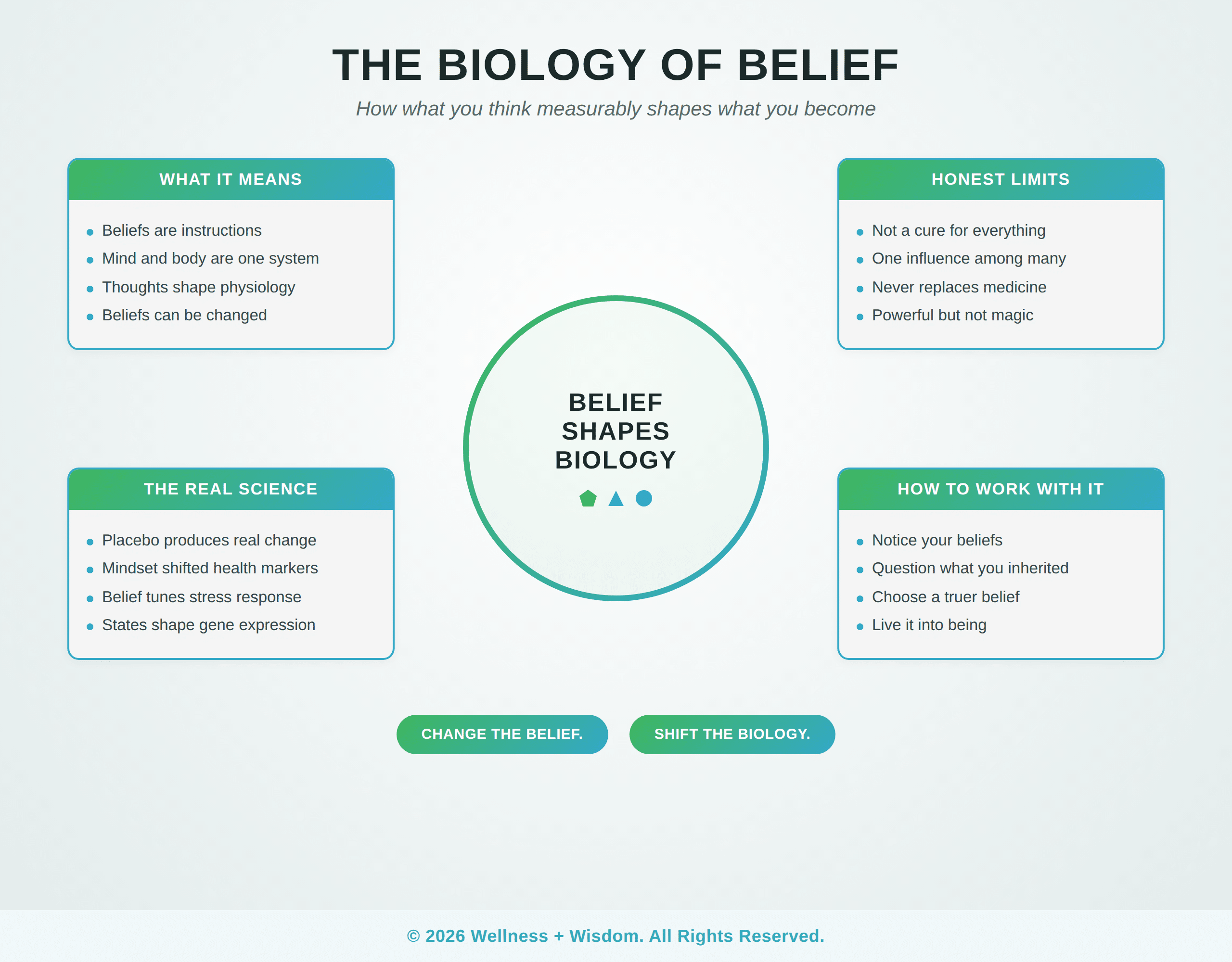 The Biology of Belief by Josh Trent | Wellness + Wisdom Biology of belief infographic showing how thoughts and beliefs shape the body through placebo, stress, and gene expression by Josh Trent Wellness and Wisdom