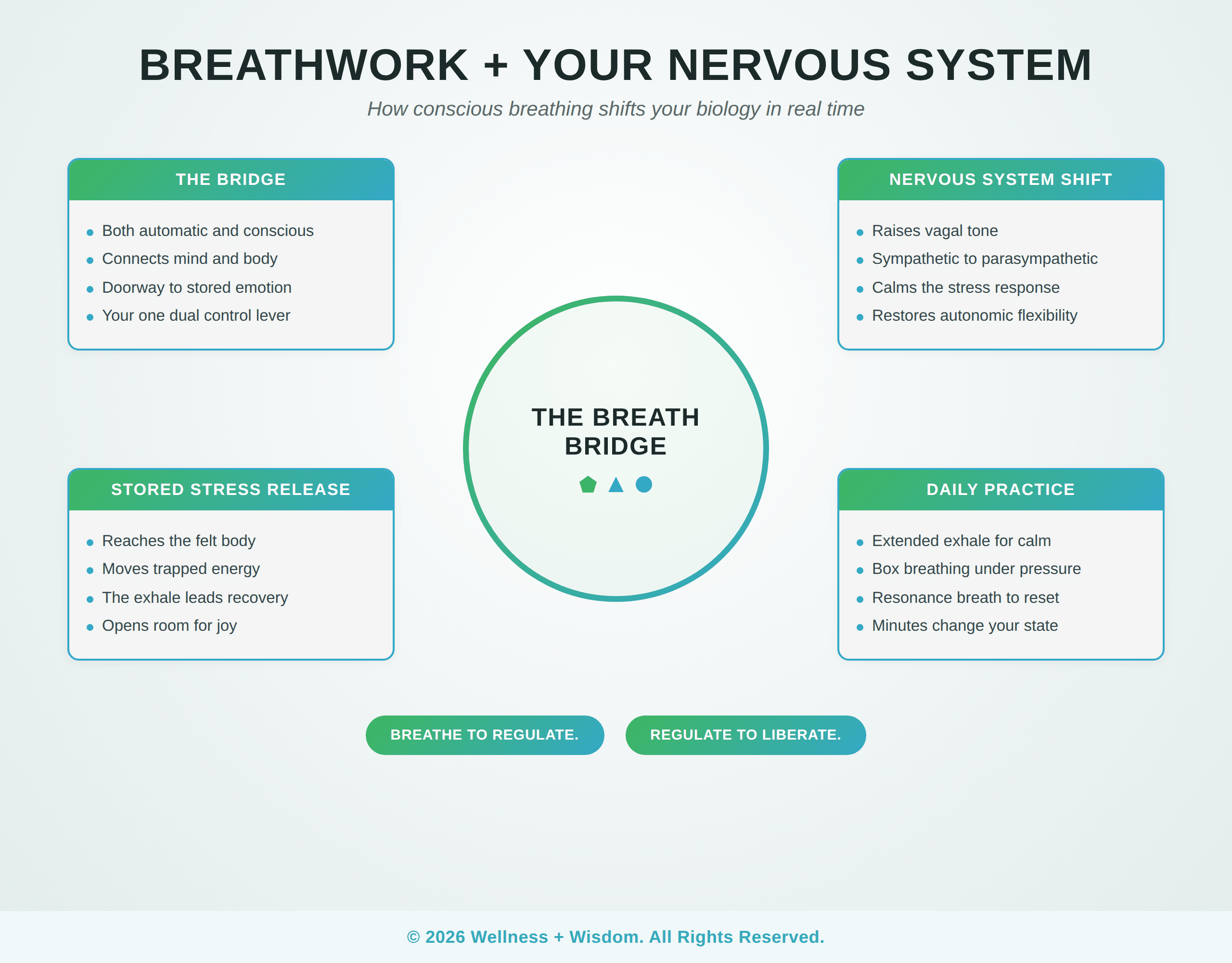 Breathwork and Your Neural System by Josh Trent | Wellness + Wisdom Branded infographic showing how breathwork shifts the neural system through the breath bridge, vagal tone, and daily practice, by Josh Trent Wellness and Wisdom