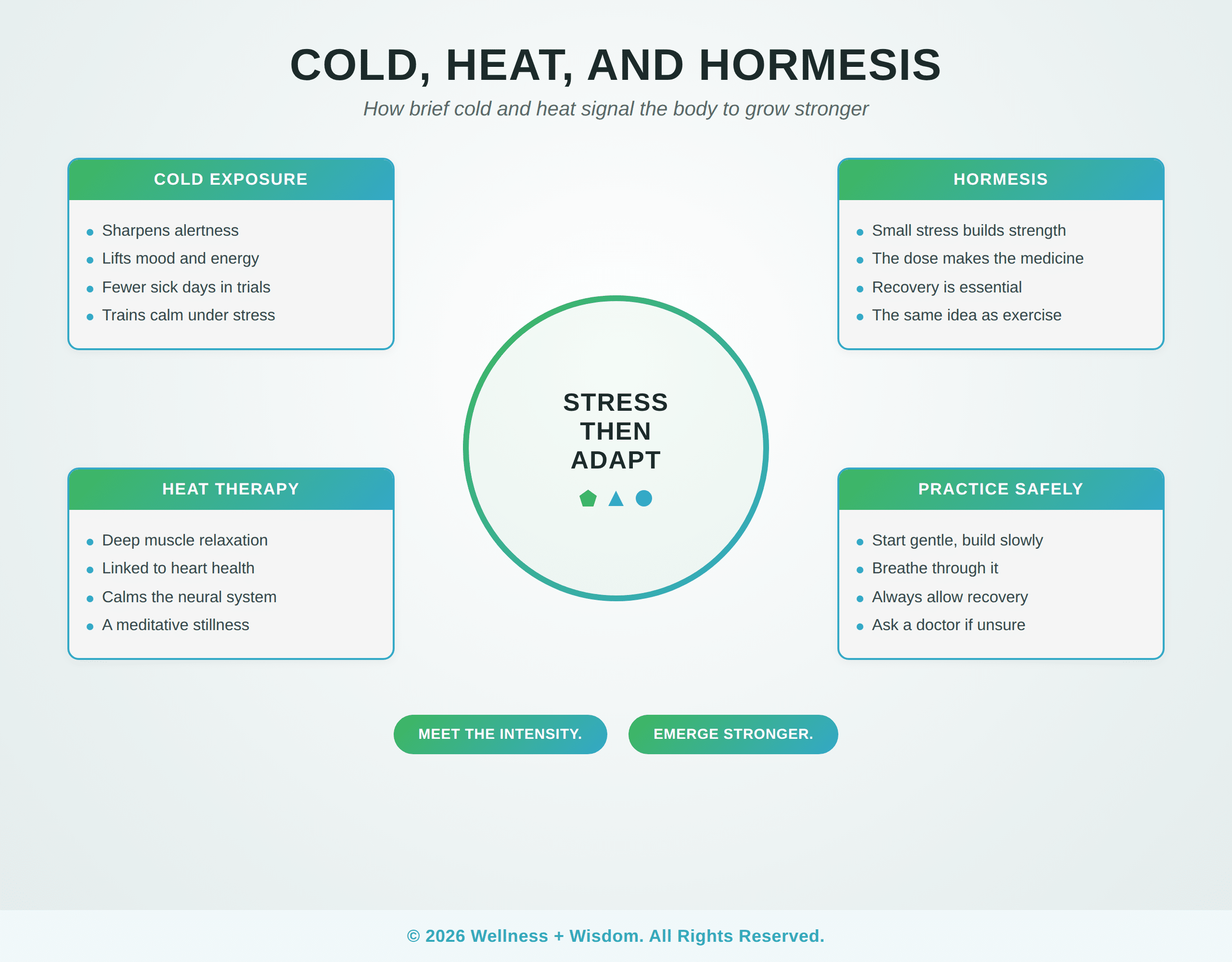 Cold Exposure Epigenetics by Josh Trent | Wellness + Wisdom Cold exposure epigenetics infographic showing how cold and heat signal the body through hormesis by Josh Trent Wellness and Wisdom