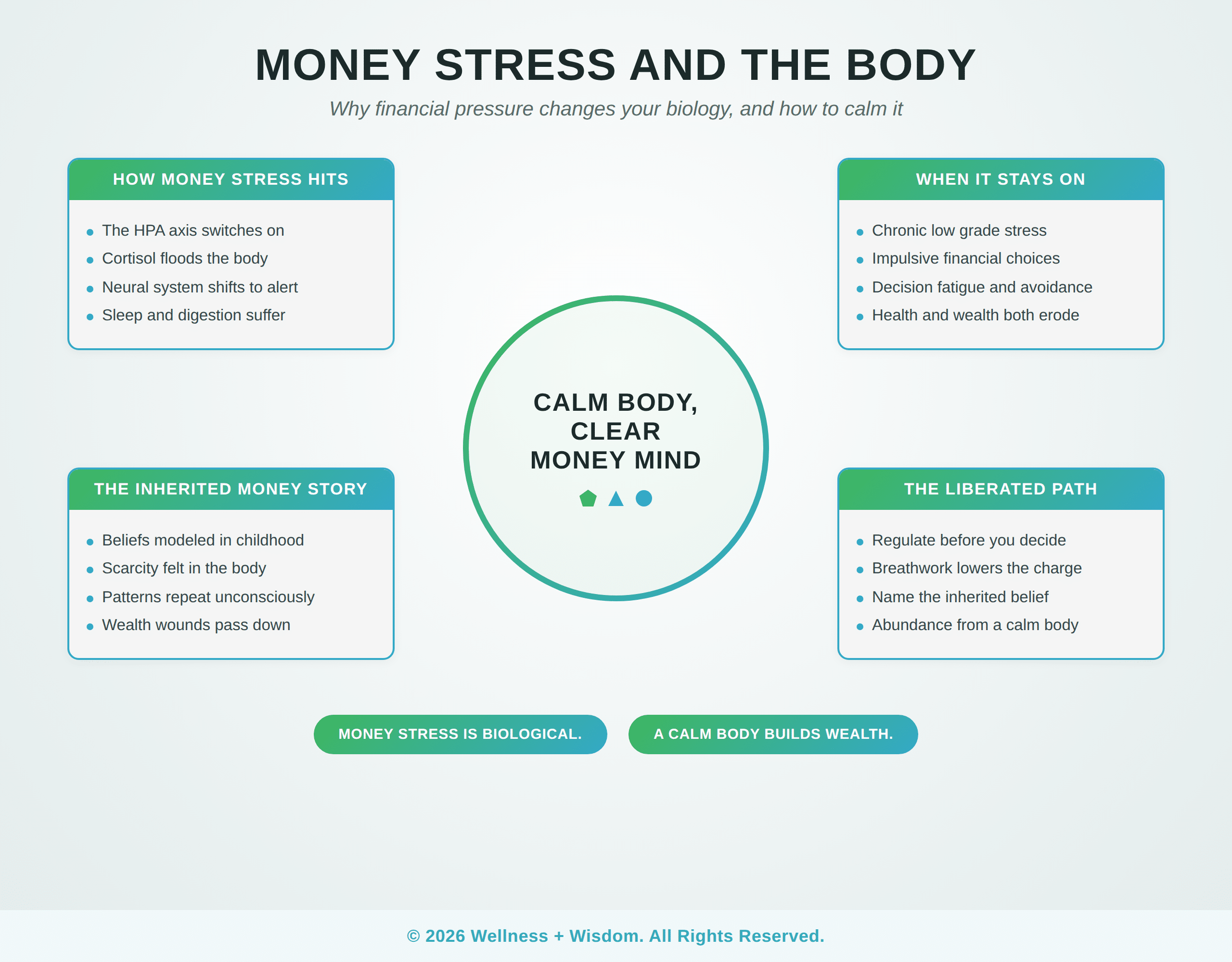 Financial Wellness and Money Stress by Josh Trent | Wellness + Wisdom Financial wellness stress and the neural system infographic showing how money stress changes your biology by Josh Trent Wellness and Wisdom
